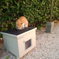 photo de livraison pour A pas de Velours