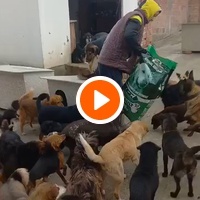 photo de livraison pour ПРИХВАТИЛИШТЕ ДРАЖЕВАЦ