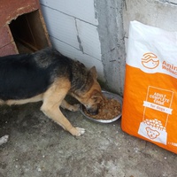 photo de livraison pour Speranta Pentru Animale