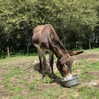 photo de livraison pour ADADA