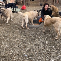 photo de livraison pour Saving Orphaned Souls Sheila's Animal Rescue Mission