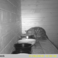 photo de livraison pour Jardin des Chats