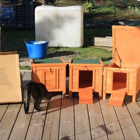 photo de livraison pour Ecole du Chat Libre de Caillerot