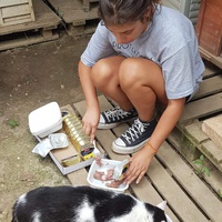 photo de livraison pour Chats Libres de Béziers