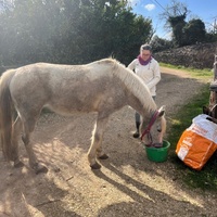 photo de livraison pour La Retraite des Chevaux des Causses
