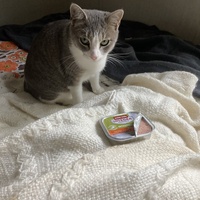 photo de livraison pour Cosette