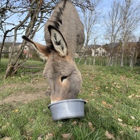 photo de livraison pour ADADA