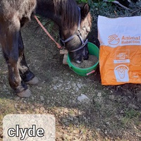 photo de livraison pour Association hippique du Caroux