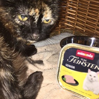 photo de livraison pour Ecole du Chat de Poitiers 