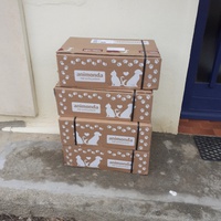 photo de livraison pour Ecole du Chat Libre de Port-Vendres
