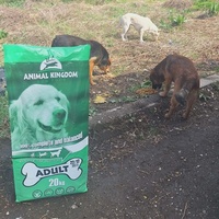 photo de livraison pour Beta Zajecar