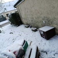 photo de livraison pour Sweety Pets