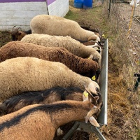 photo de livraison pour Refuge du Poil à la Plume