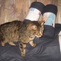 photo de livraison pour Jardin des Chats