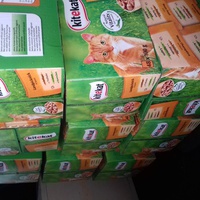 photo de livraison pour Les chats Port-Saint-Louisiens
