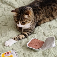 photo de livraison pour École du chat libre du Bocage bressuirais