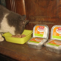 photo de livraison pour Jardin des Chats