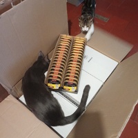 photo de livraison pour Les chats libres de Caro