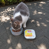 photo de livraison pour Clan du chat libre