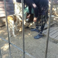 photo de livraison pour Carmina Butuc