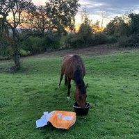 photo de livraison pour Espoir au Galop