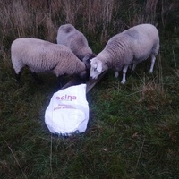 photo de livraison pour HELP