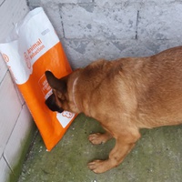 photo de livraison pour Speranta Pentru Animale