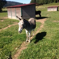 photo de livraison pour ADADA