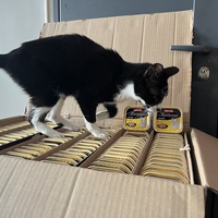photo de livraison pour Association C.A.T.S. Chat Animal Terrien Solidarité