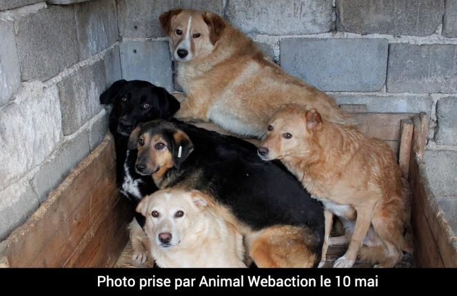 photo association