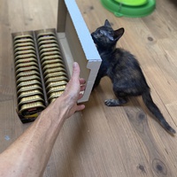 photo de livraison pour Les Chats de Condom 32