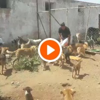 photo de livraison pour Association Mira Protection des Animaux et de l'Environnement