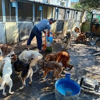 photo de livraison pour Comme Chiens et Chats Maroc