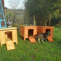 photo de livraison pour Au Paradis Des Chats