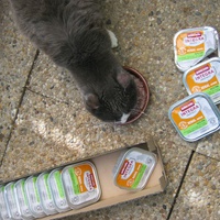photo de livraison pour Au Bonheur des Chats Libres