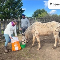 photo de livraison pour La Retraite des Chevaux des Causses