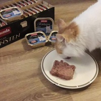 photo de livraison pour Stérilcat 80