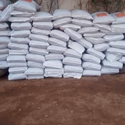 photo de livraison pour Help Adopt Moroccan Animals
