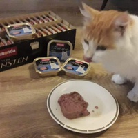 photo de livraison pour Stérilcat 80