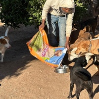 photo de livraison pour Le Coeur sur la Patte