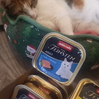 photo de livraison pour Les Pattounes de l'Espoir