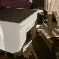 photo de livraison pour Les Chats de Dugny