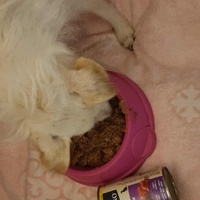 photo de livraison pour AVRAH