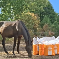 photo de livraison pour À l'Équi-Libre