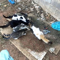 photo de livraison pour Kawthar Maree