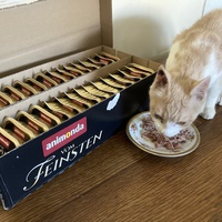 photo de livraison pour Ecole du Chat des Alpilles