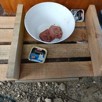 photo de livraison pour Les Miss'tigris de l'Espoir