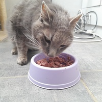photo de livraison pour Les Amis d'Aramis
