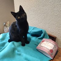 photo de livraison pour SALOME