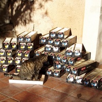 photo de livraison pour Protection Animale Berroise